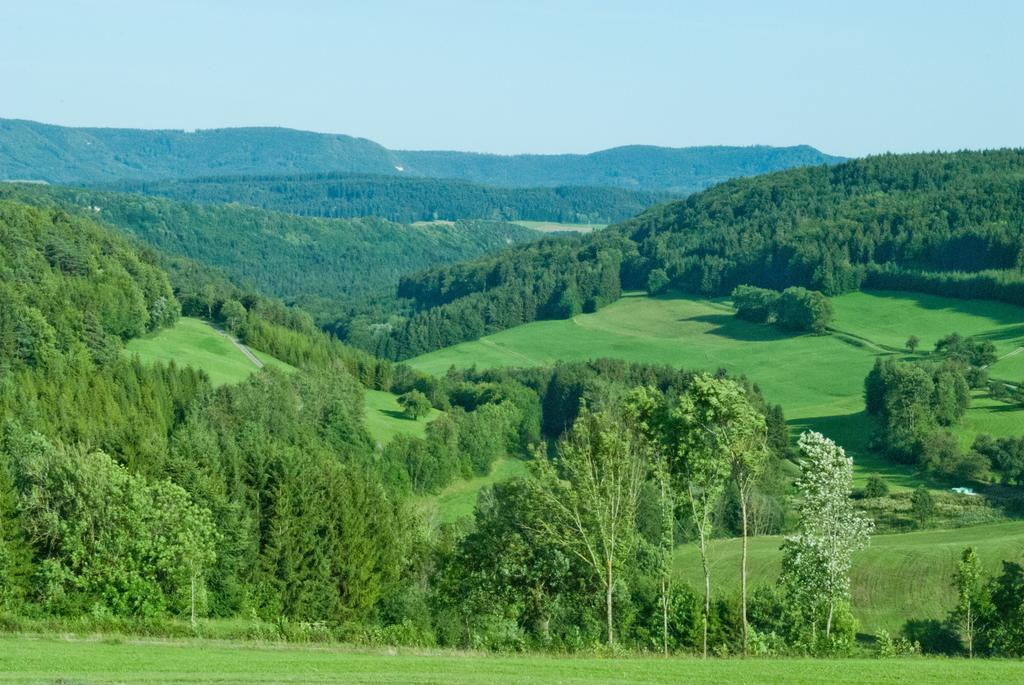 Gasthaus Kranz Lausheim Eksteriør billede